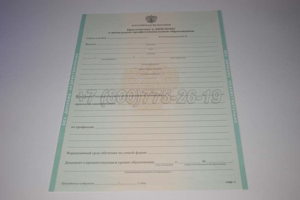 Приложение к диплому ПТУ Гознак 2011-2025 год выпуска г.Красноярск