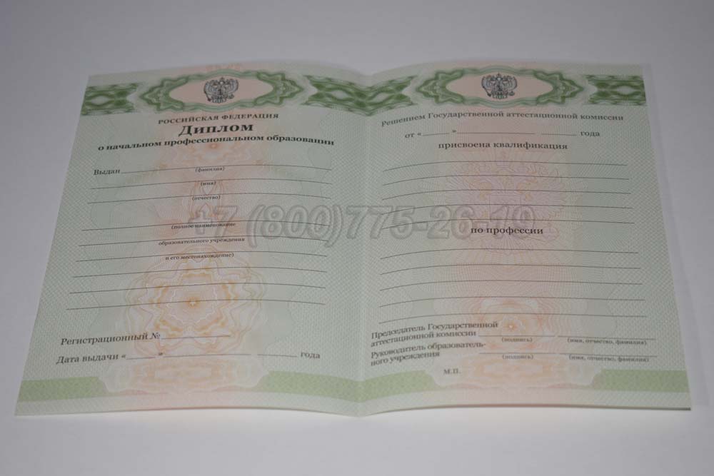 Бланк диплома ПТУ Гознак 2011-2025 год выпуска г.Красноярск
