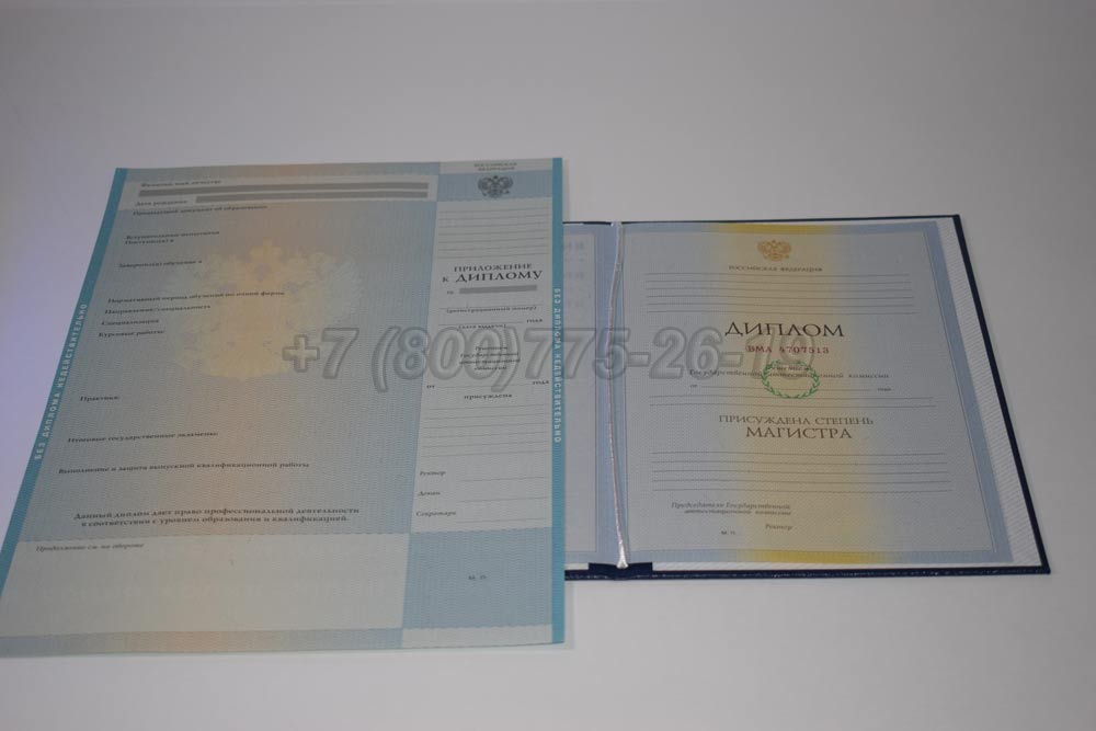 Диплом магистра Гознак 2009-2010 год выпуска г.Красноярск