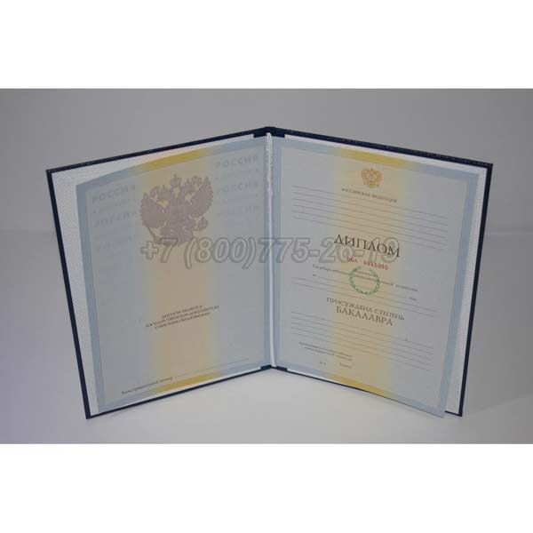 Диплом бакалавра 2009-2010 г.в. Красноярск