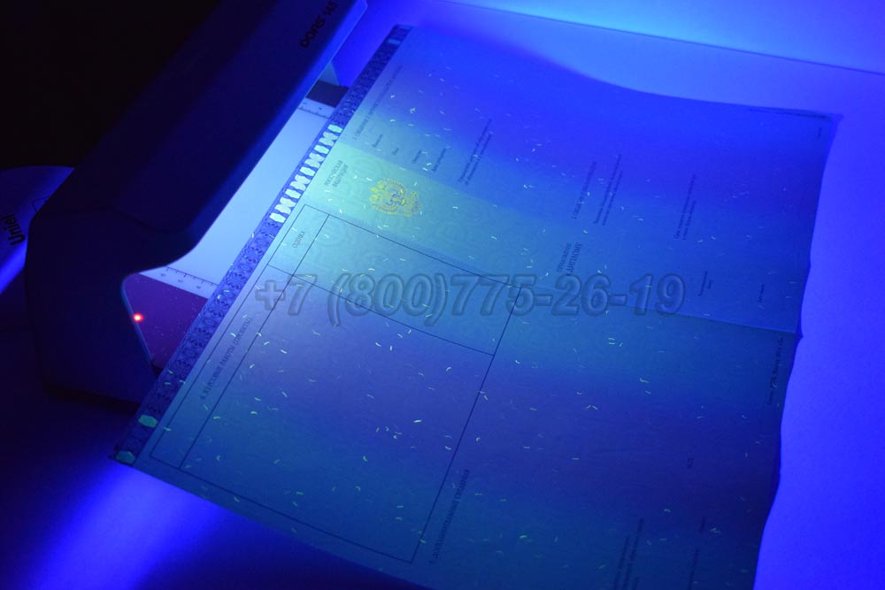 Приложение к диплому магистра Гознак 2014-2025 год выпуска г.Красноярск
