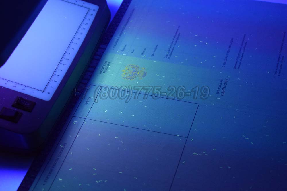Приложение к красному диплому о высшем образовании 2013-2025 год г.Красноярск