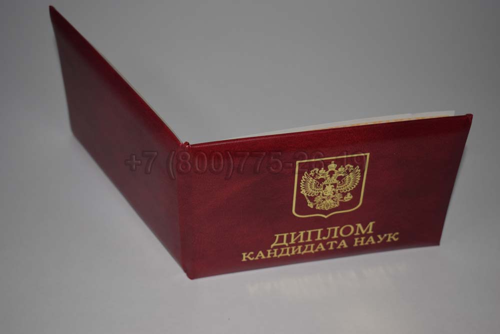 Диплом кандидата наук Гознак 2017-2025 год выпуска г.Красноярск