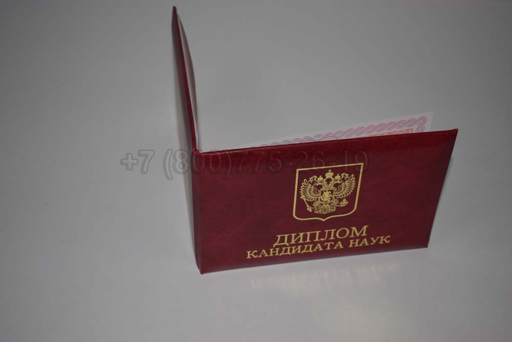 Диплом кандидата наук Гознак 2013-2016 год выпуска г.Красноярск