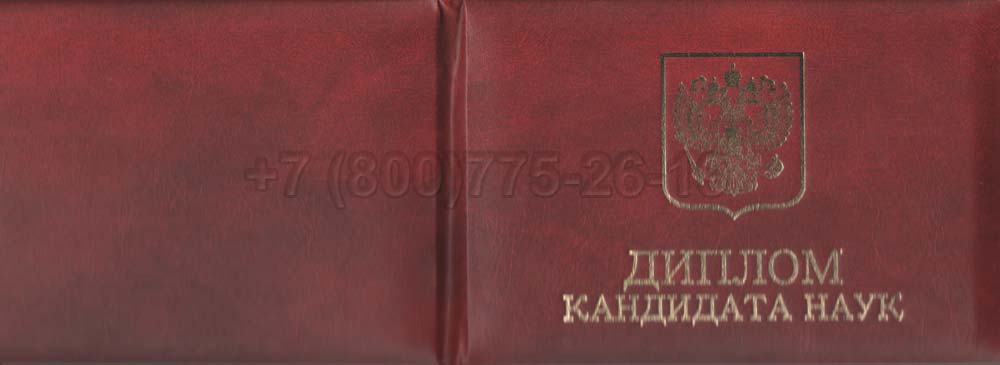 Диплом кандидата наук Гознак 2013-2016 год выпуска г.Красноярск