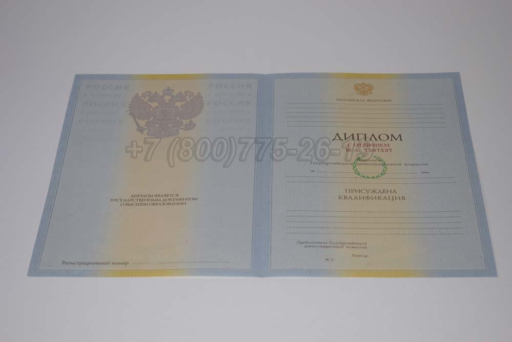 Бланк красного диплома о высшем образовании 2009-2010 год выпуска г.Красноярск