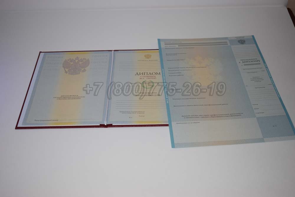 Красный диплом о высшем образовании 2009-2010 год г.Красноярск