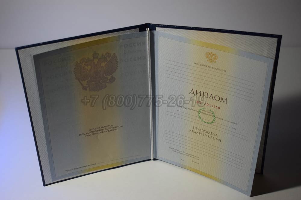 Диплом о высшем образовании Гознак 2009-2010 год выпуска г.Красноярск