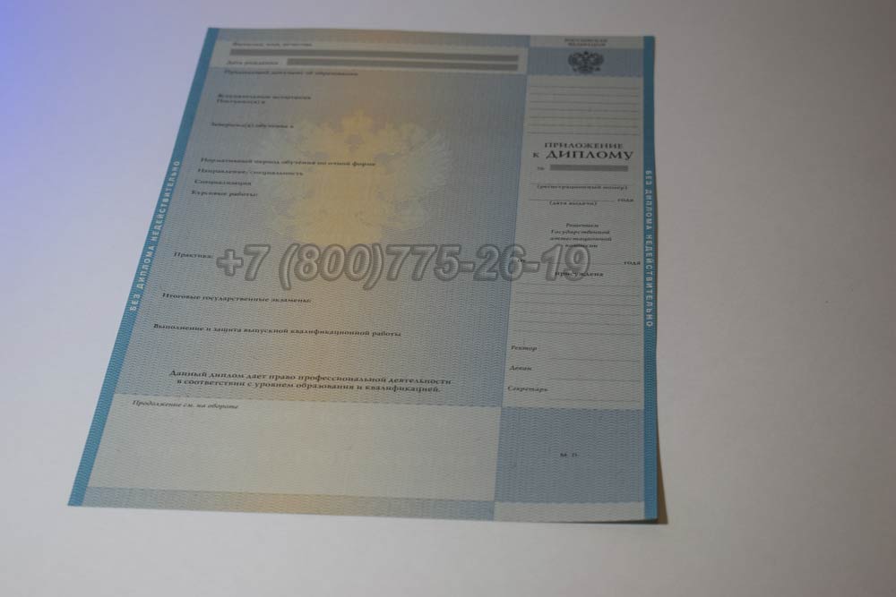 Приложение к диплому о высшем образовании 2009-2010 год выпуска г.Красноярск