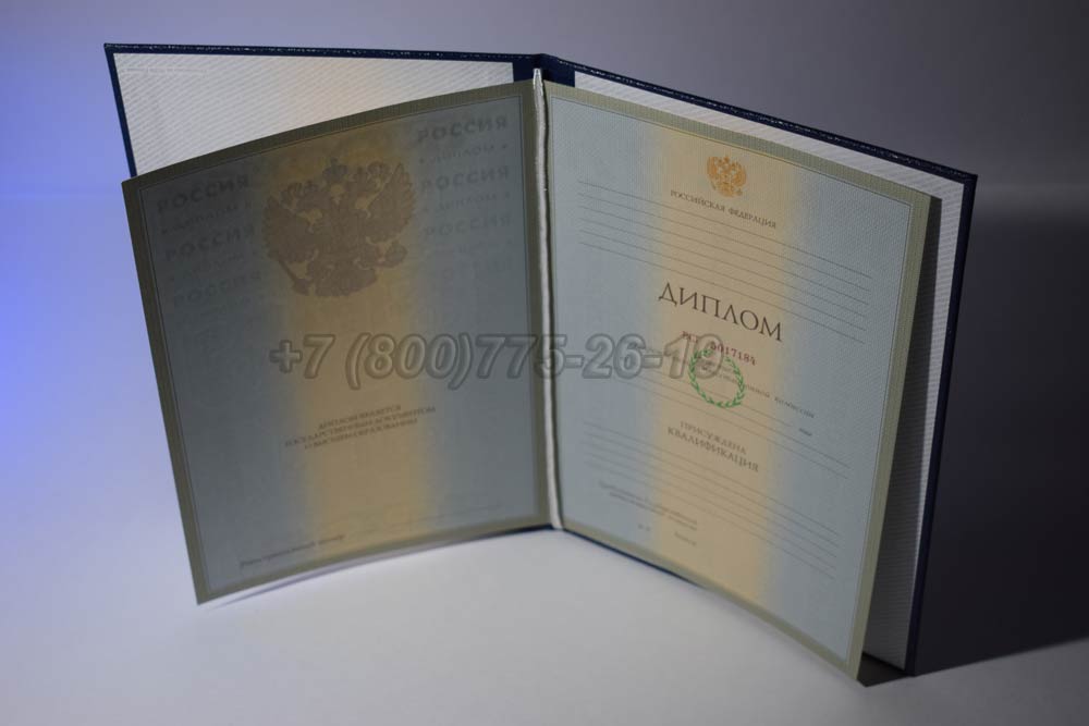 Диплом института Гознак 2003-2008 год выпуска г.Красноярск