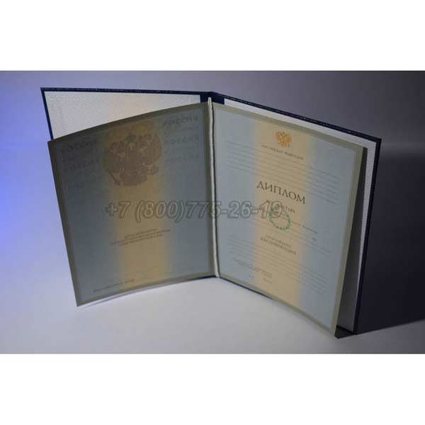 Диплом о высшем образовании 2003-2008 г.в. Красноярск